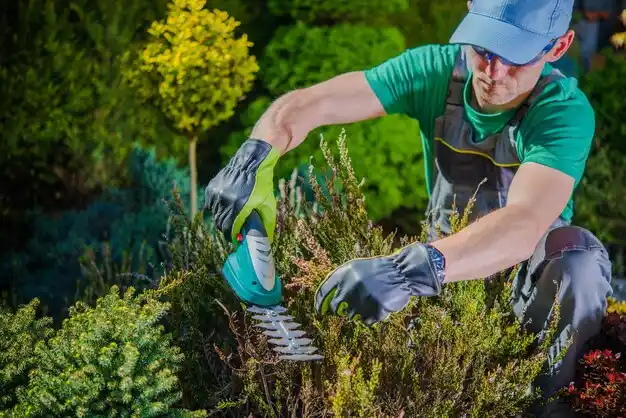 landscaping services Cynthiana